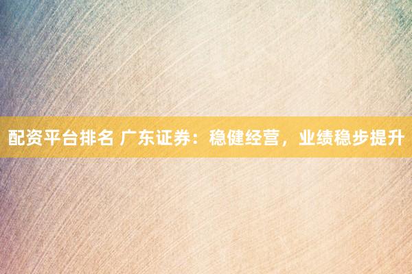 配资平台排名 广东证券：稳健经营，业绩稳步提升