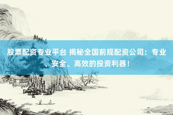 股票配资专业平台 揭秘全国前规配资公司：专业、安全、高效的投资利器！