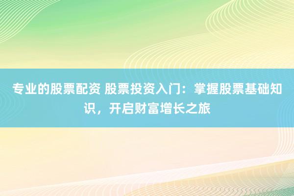 专业的股票配资 股票投资入门：掌握股票基础知识，开启财富增长之旅