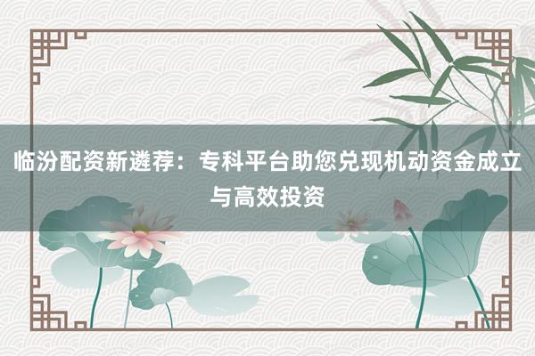 临汾配资新遴荐：专科平台助您兑现机动资金成立与高效投资