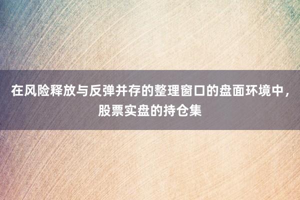 在风险释放与反弹并存的整理窗口的盘面环境中，股票实盘的持仓集
