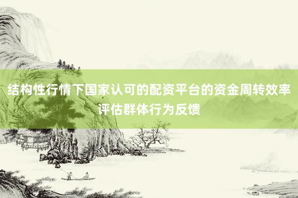 结构性行情下国家认可的配资平台的资金周转效率评估群体行为反馈