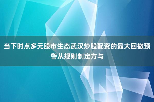 当下时点多元股市生态武汉炒股配资的最大回撤预警从规则制定方与